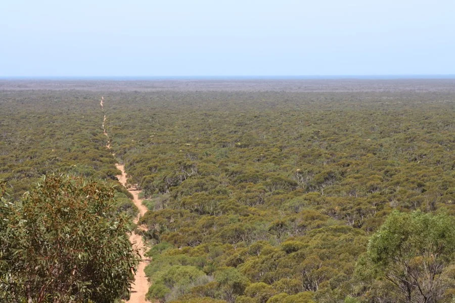 Additional image 10 of Section 6 Old Telegraph Road, Midgee SA 5602