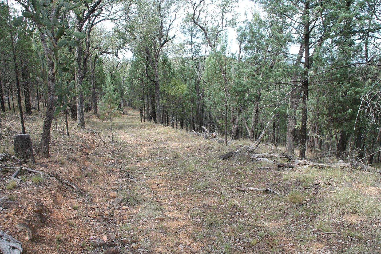 Additional image 4 of Lot 19 Mountain Creek Road, Tenterfield NSW 2372