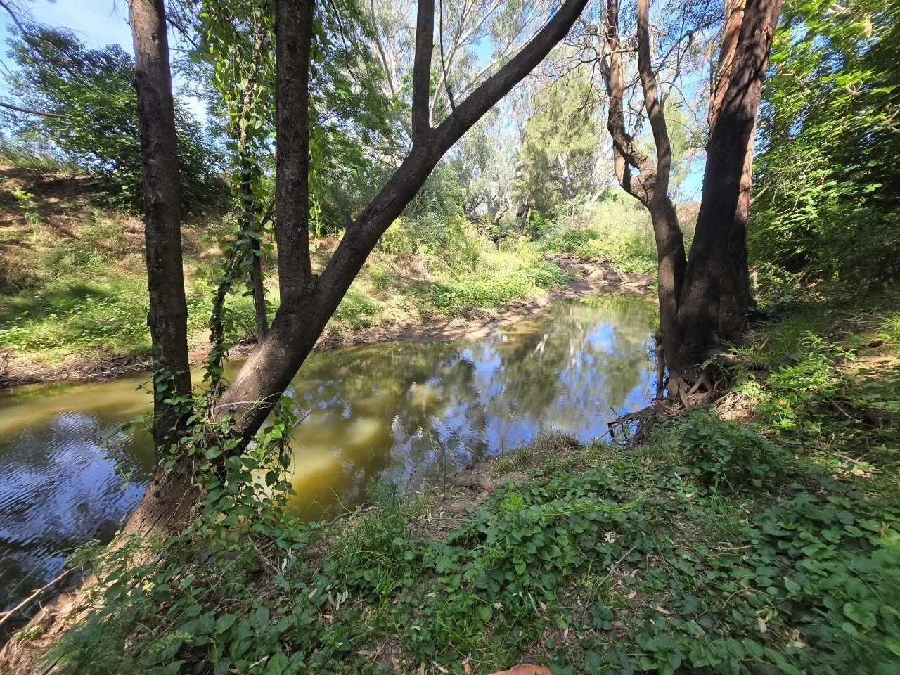 Additional image 4 of 88 Amaroo Way, Eugowra NSW 2806