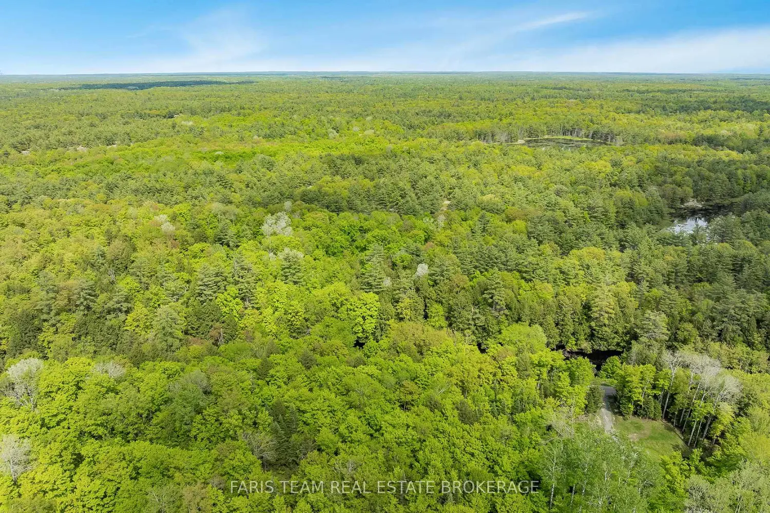 Additional image 7 of 7950 Kings River Road