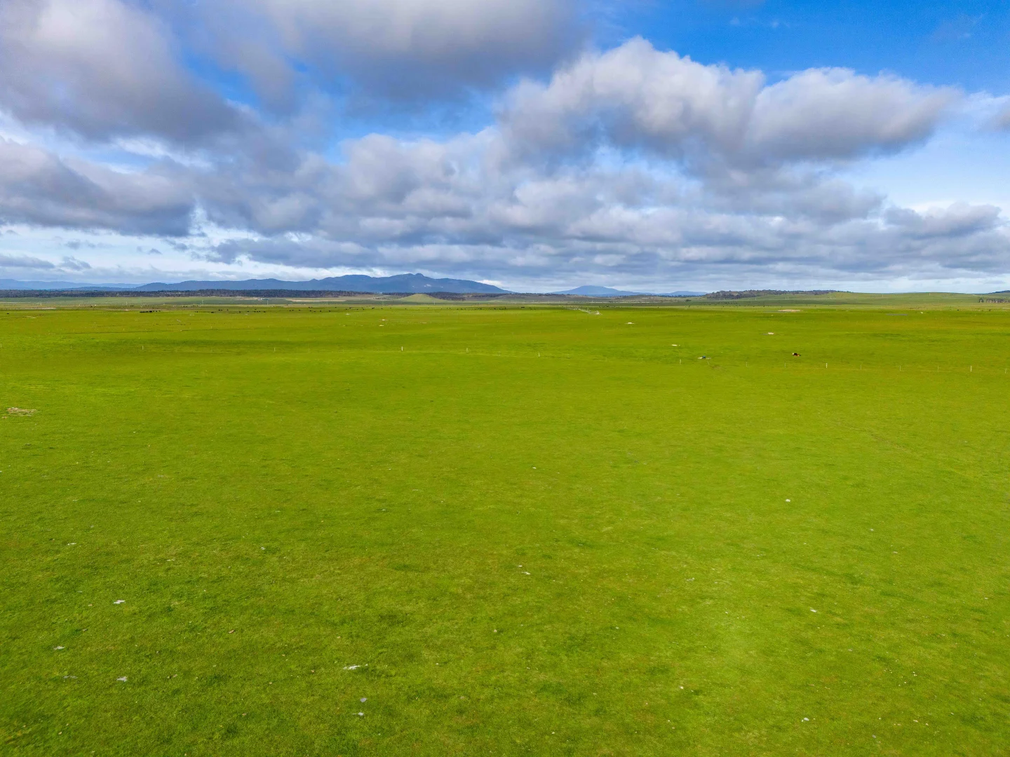 Additional image 6 of Rushy Lagoon TAS 7264