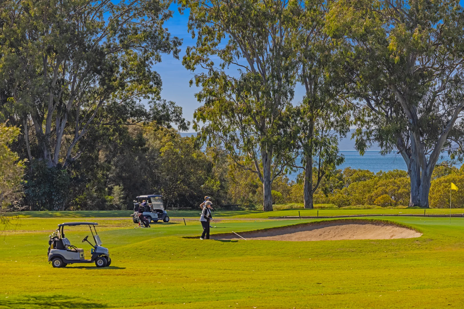 Additional image 28 of 2-8 Anita Street, Redland Bay QLD 4165