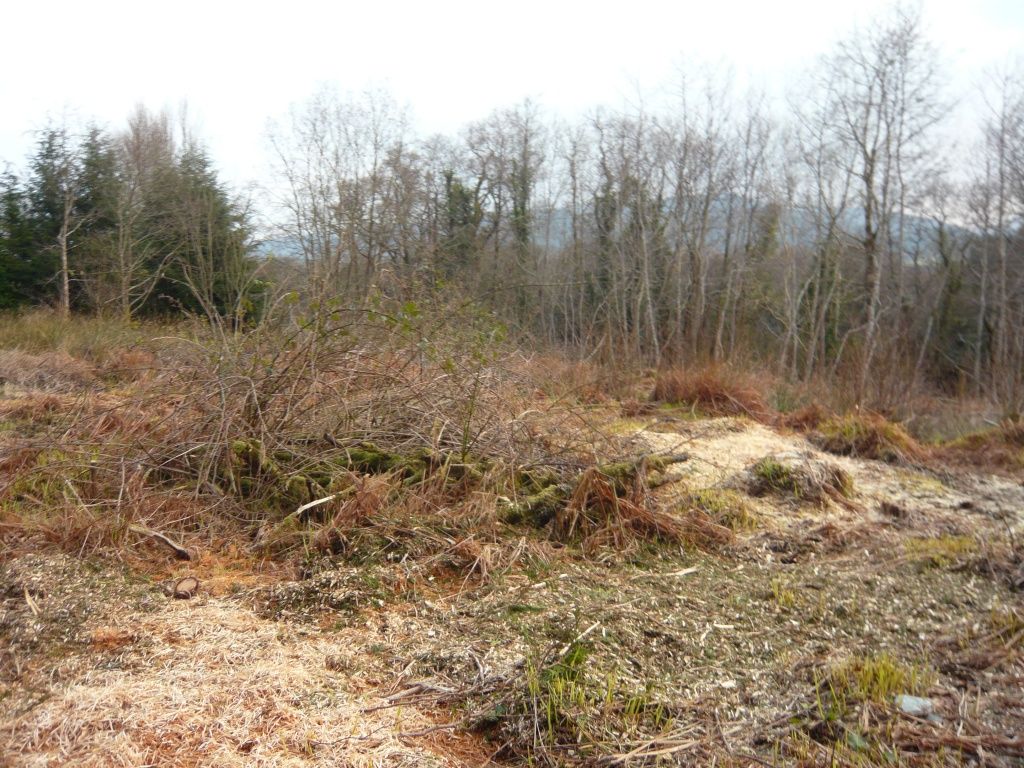 Land for salePlot Innerghlinnie Shore Road, Kilmun PA23 photo 2