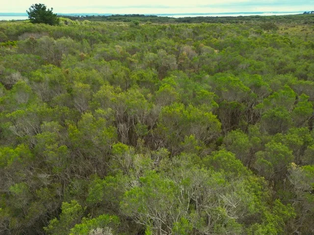 Additional image 2 of 342 Ninth Ave, French Island VIC 3921