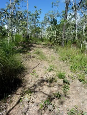 Additional image 10 of Lot 123 Two Chain Road, Koah QLD 4881
