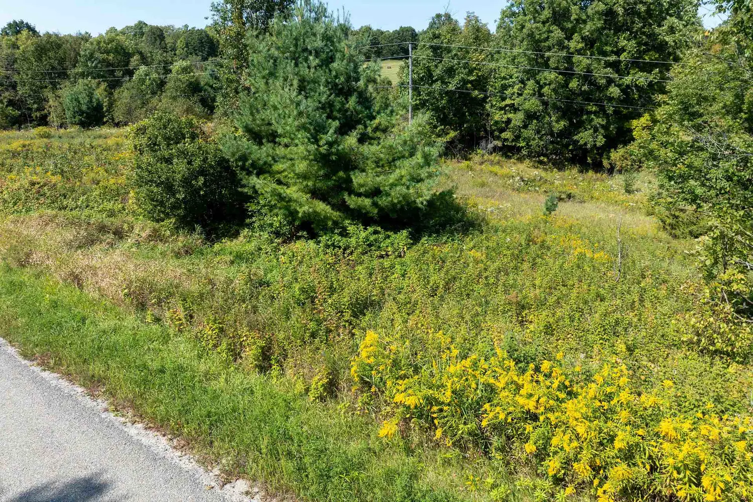 Additional image 8 of 268 Crozier Road