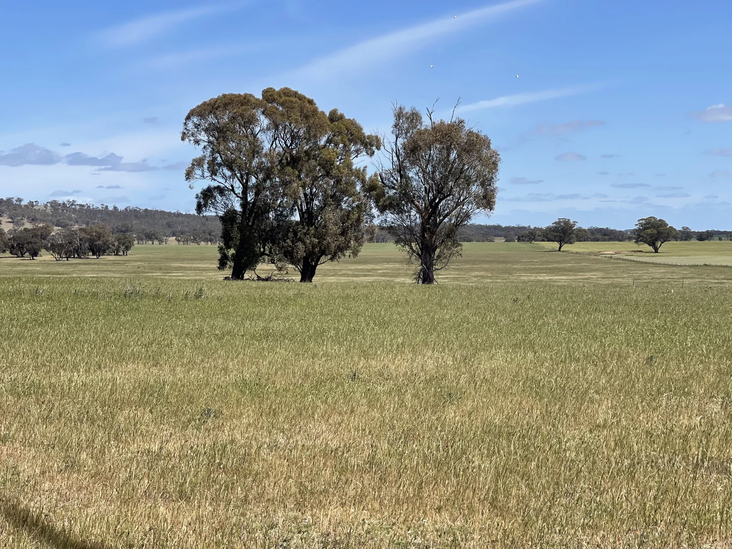 Additional image 16 of 0 Mathison Road, Gre Gre South VIC 3477
