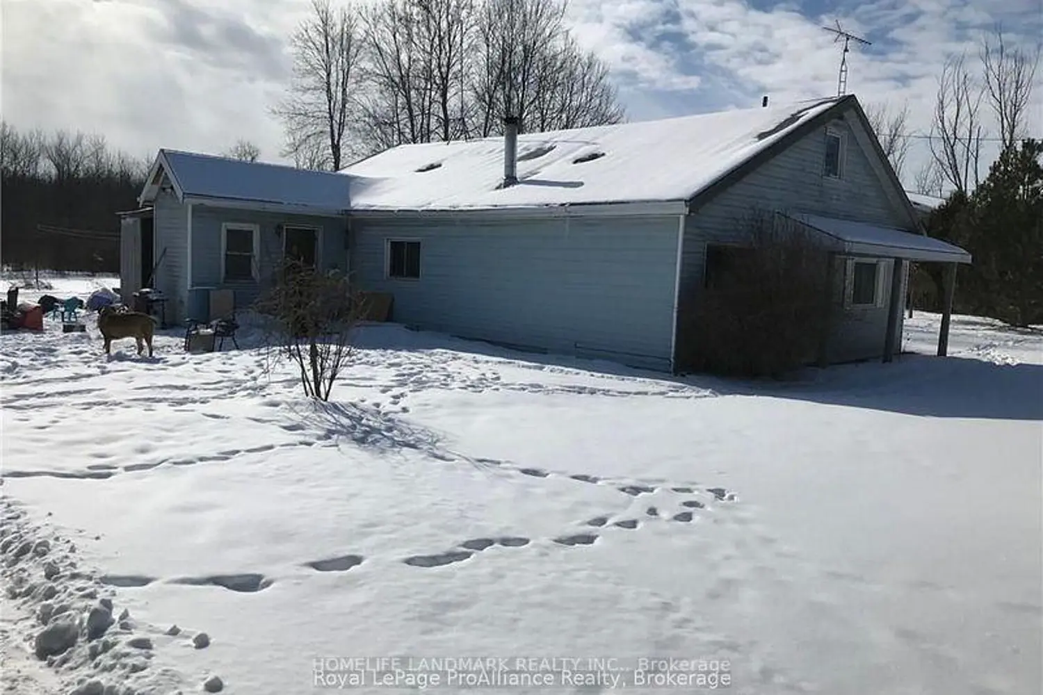 537 Burr Road photo 4