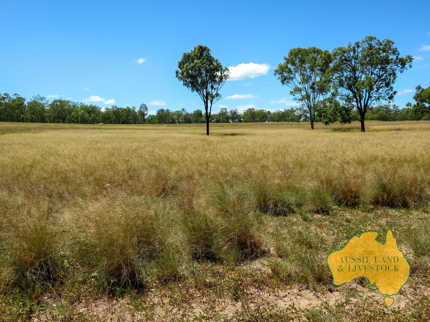 Additional image 27 of 629 Stuart Valley Drive, Haly Creek QLD 4610