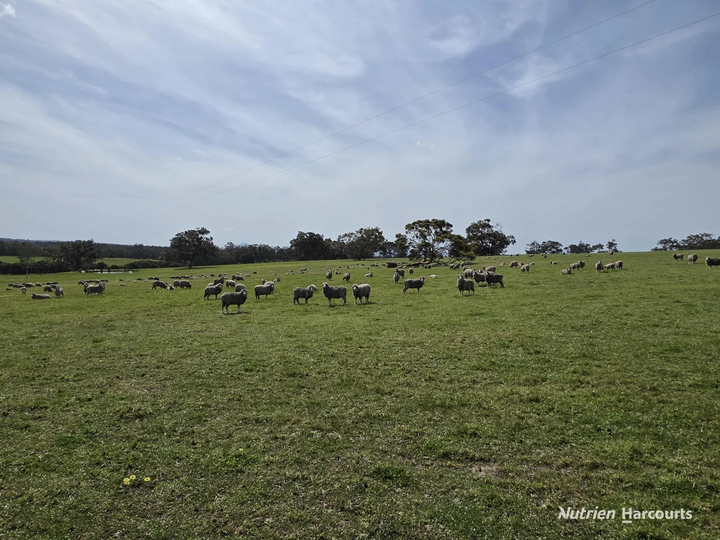 Additional image 38 of 4038 & 4184 Chesterpass Road, Takalarup WA 6324