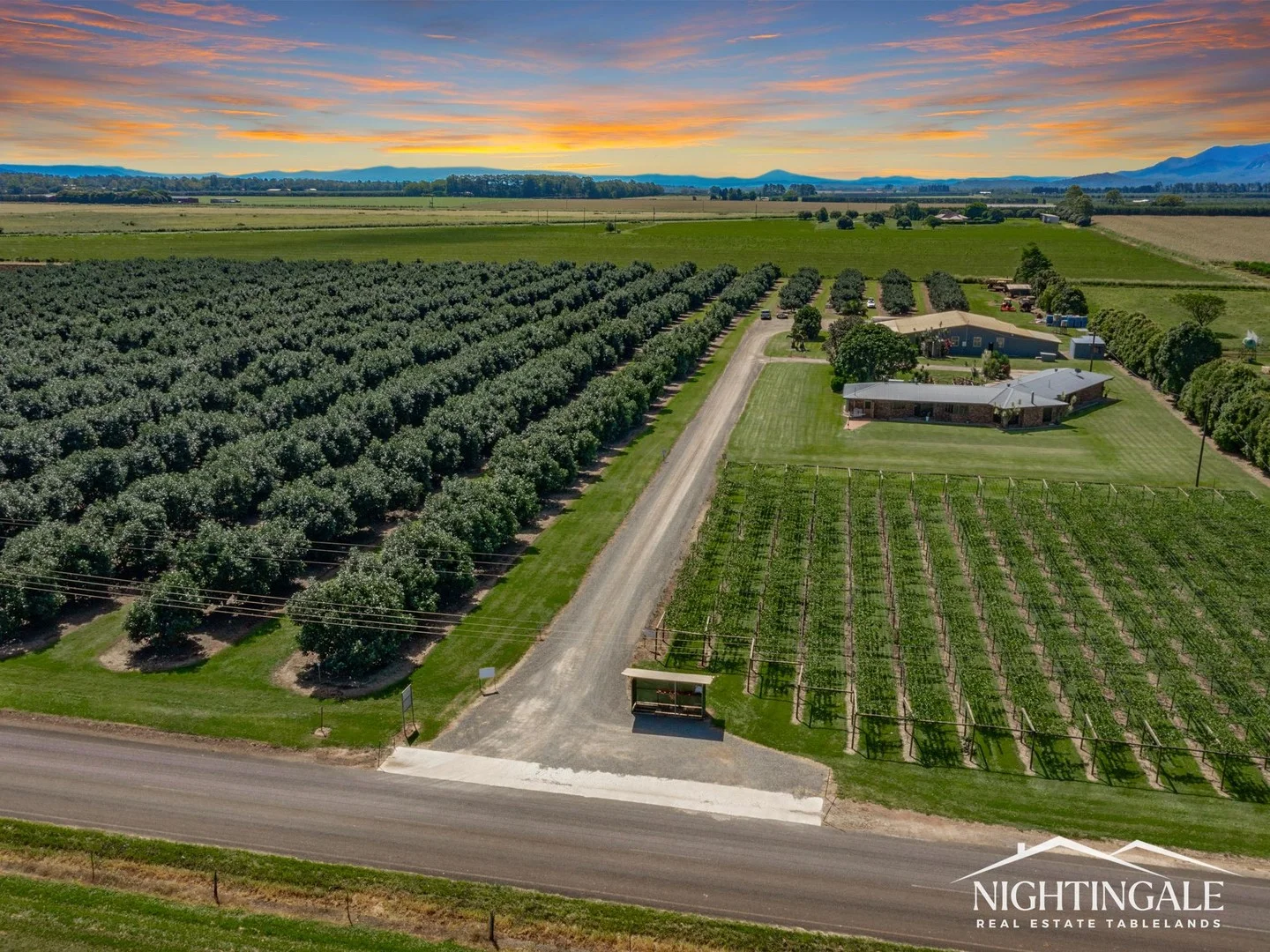 119 Beantree Road, Tolga QLD 4882