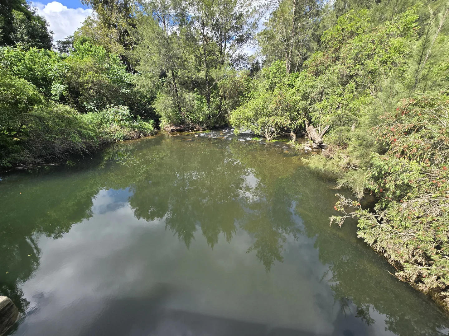 Additional image 11 of 52 Greenhills Rd, Upper Taylors Arm NSW 2447