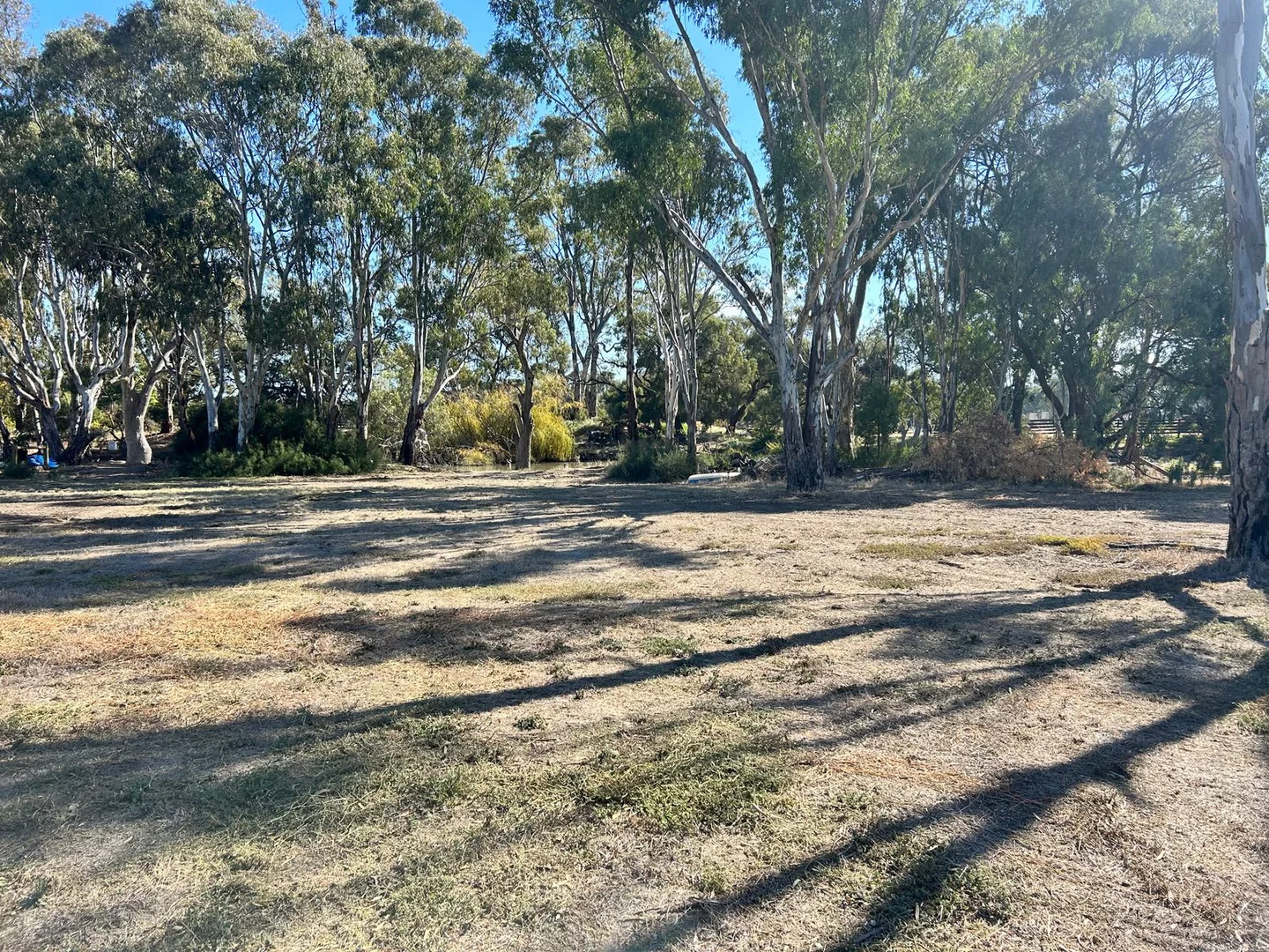 Additional image 4 of 39 Vinecombe Lane, Barham NSW 2732
