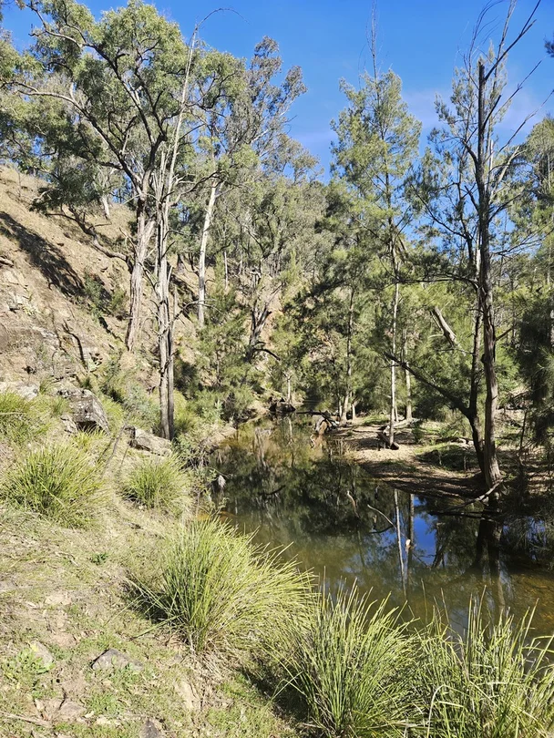 2358 & 326 Port Macquarie Road, Rylstone NSW 2849