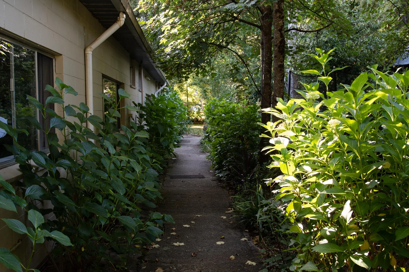 Additional image 40 of 194 Great Alpine Road, Harrietville VIC 3741