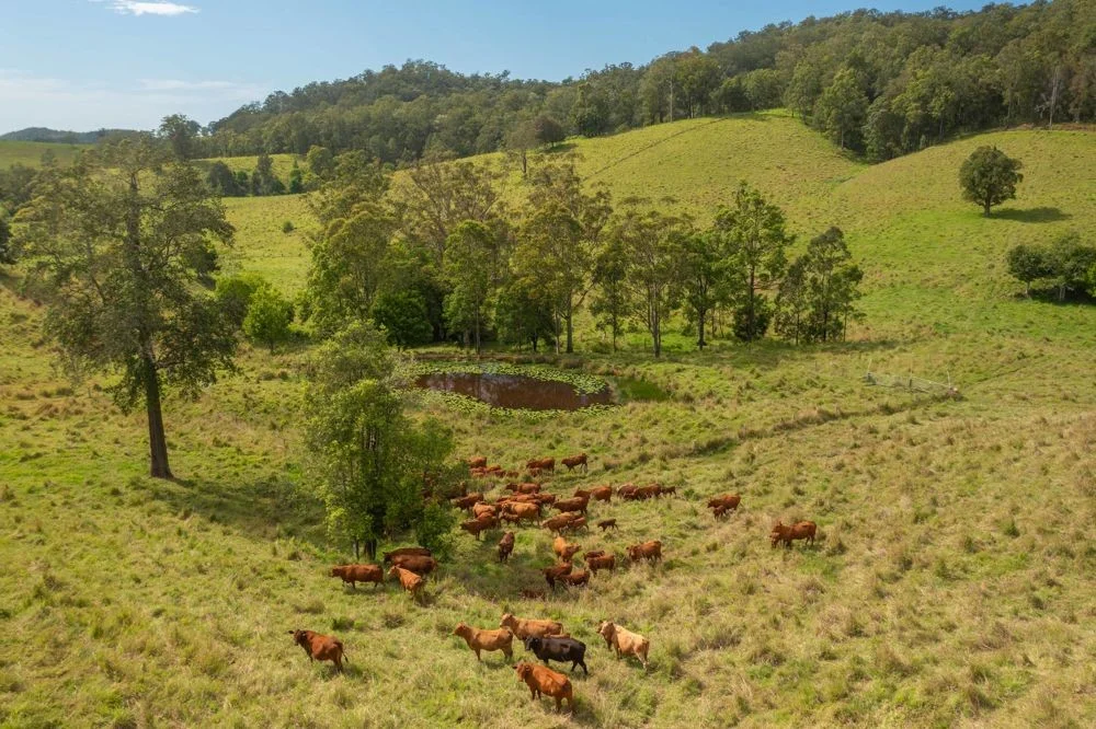 Additional image 11 of 1562-1620 NORTH ARM ROAD, Argents Hill NSW 2449