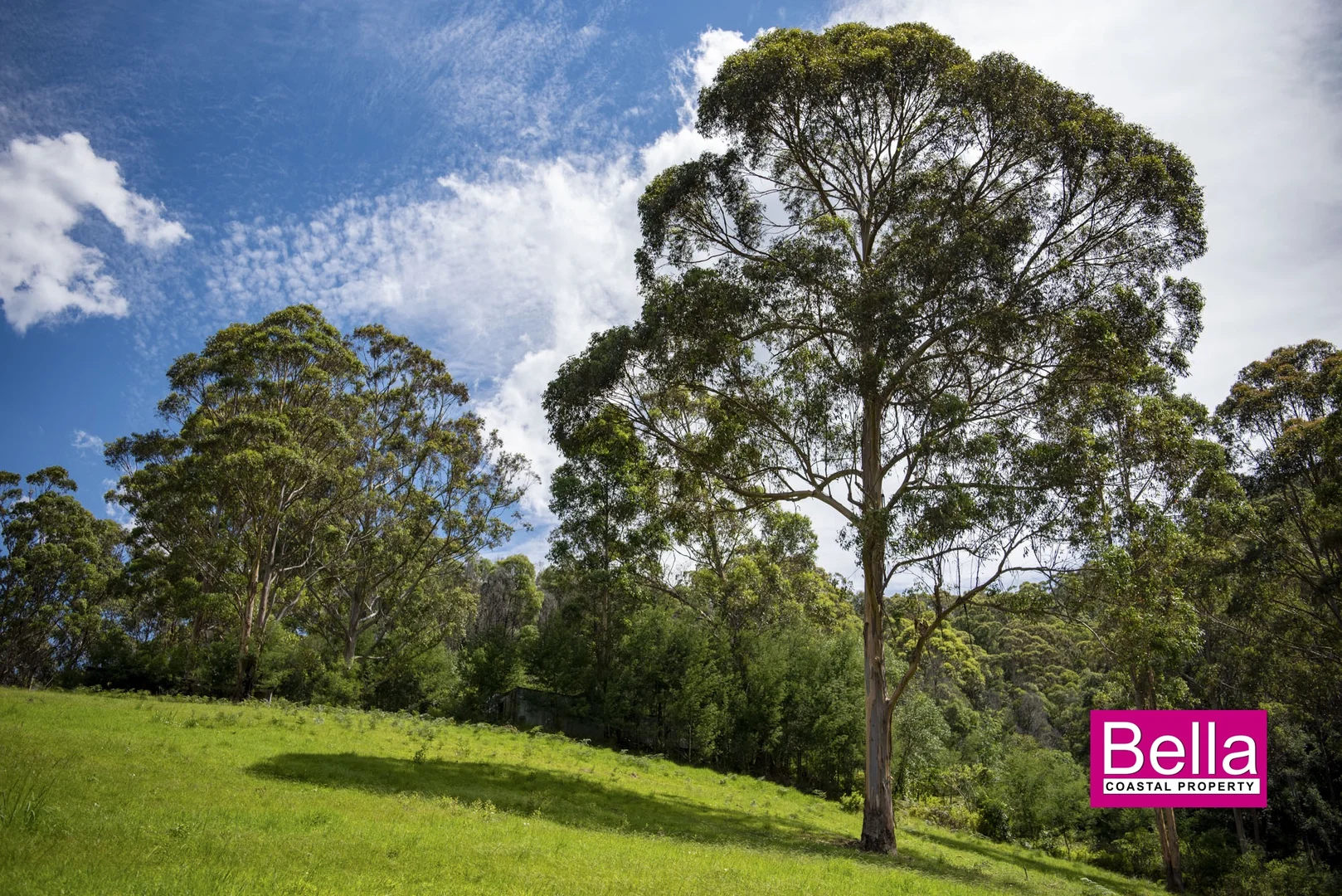 Additional image 14 of 41 Old Coach Road, Termeil NSW 2539