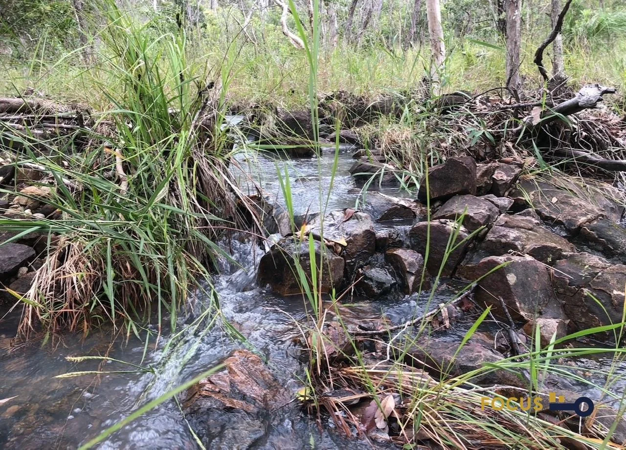 Additional image 3 of 285 Cape Palmerston Rd, Ilbilbie QLD 4738