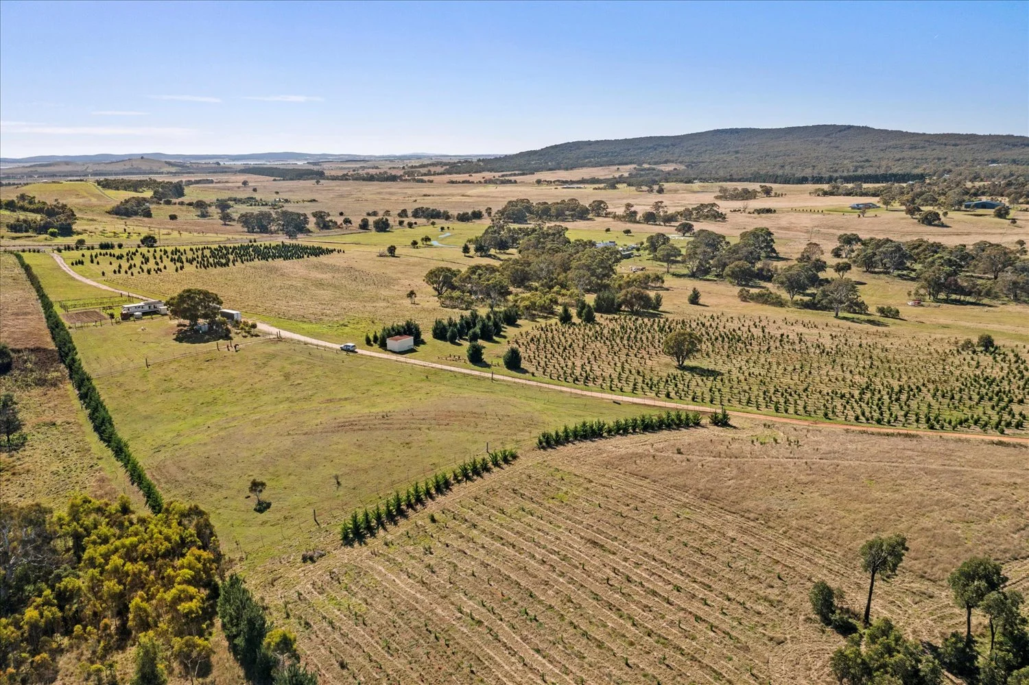 Additional image 51 of 134 Lakeview Road, Tarago NSW 2580