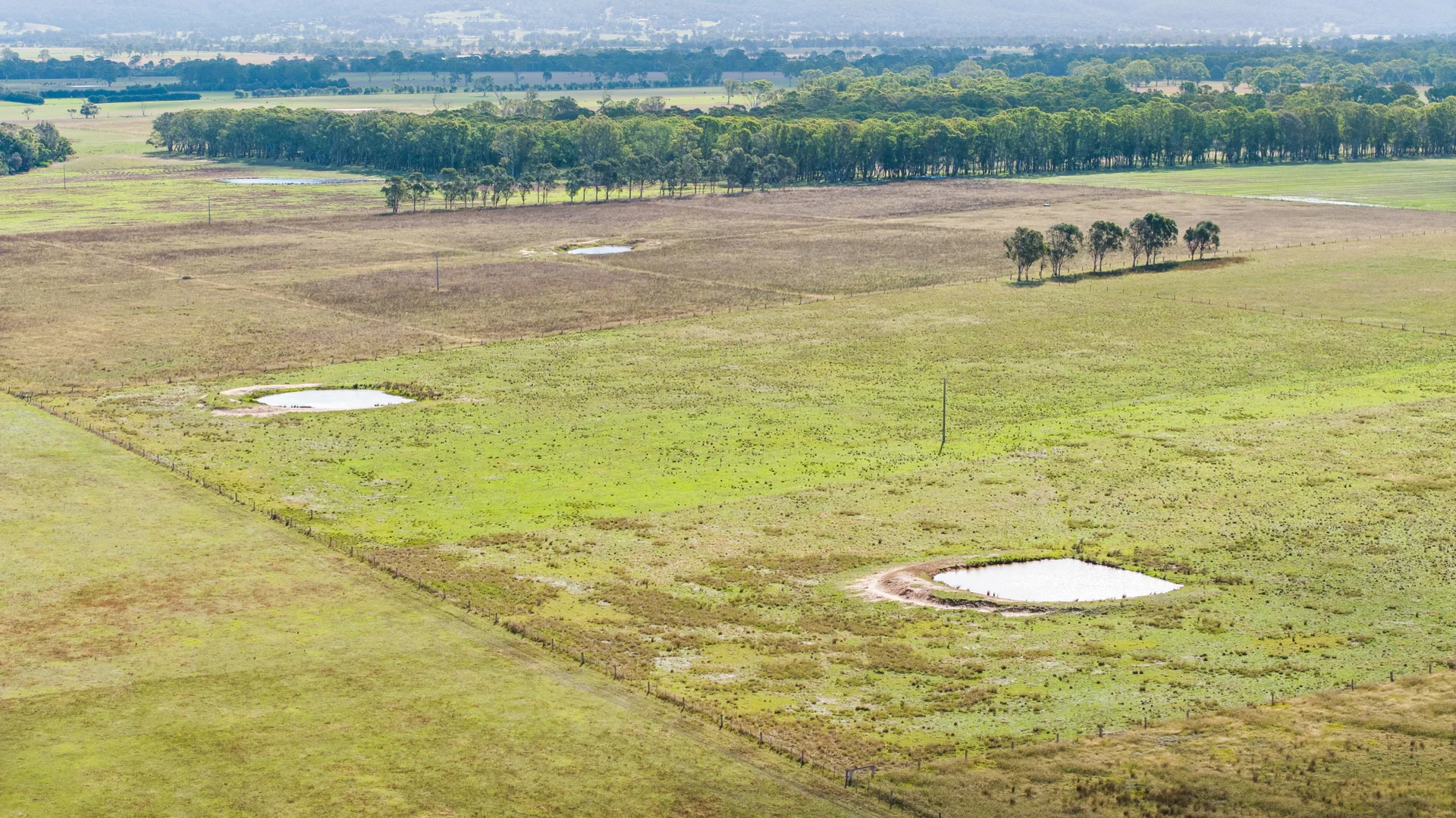 Additional image 8 of Toongabbie VIC 3856