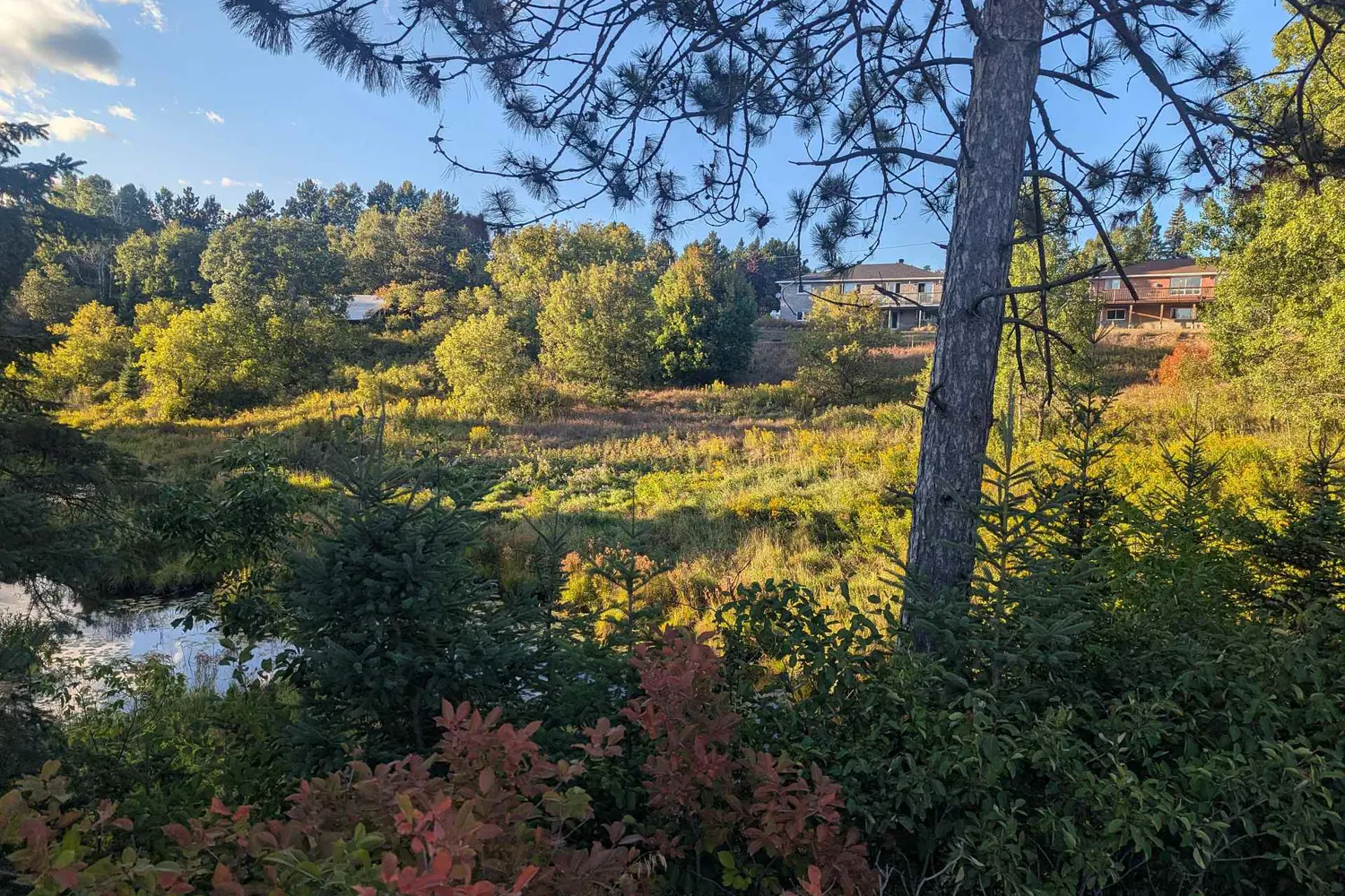 Additional image 3 of 00000 Opeongo Line