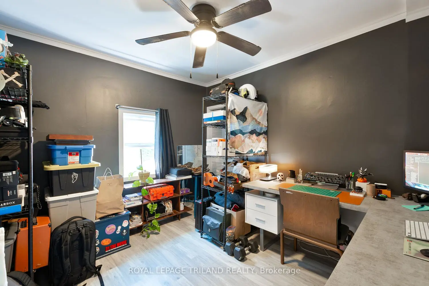 Additional image 9 of 61 Briscoe Street