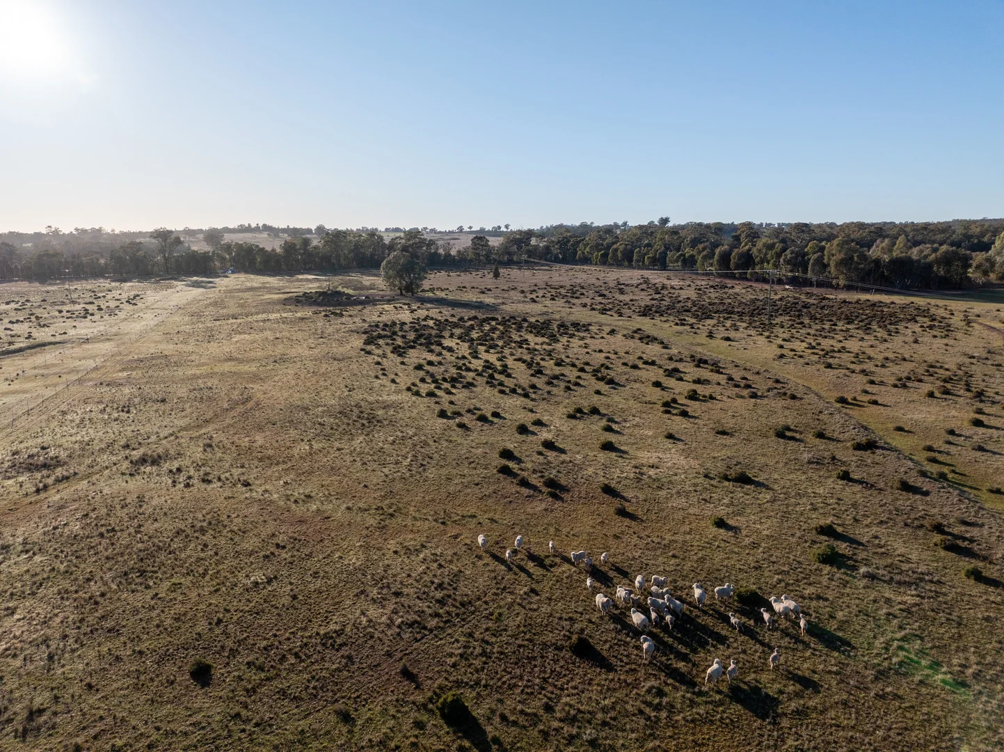 Additional image 17 of Lagoon Creek Road, Minore NSW 2830