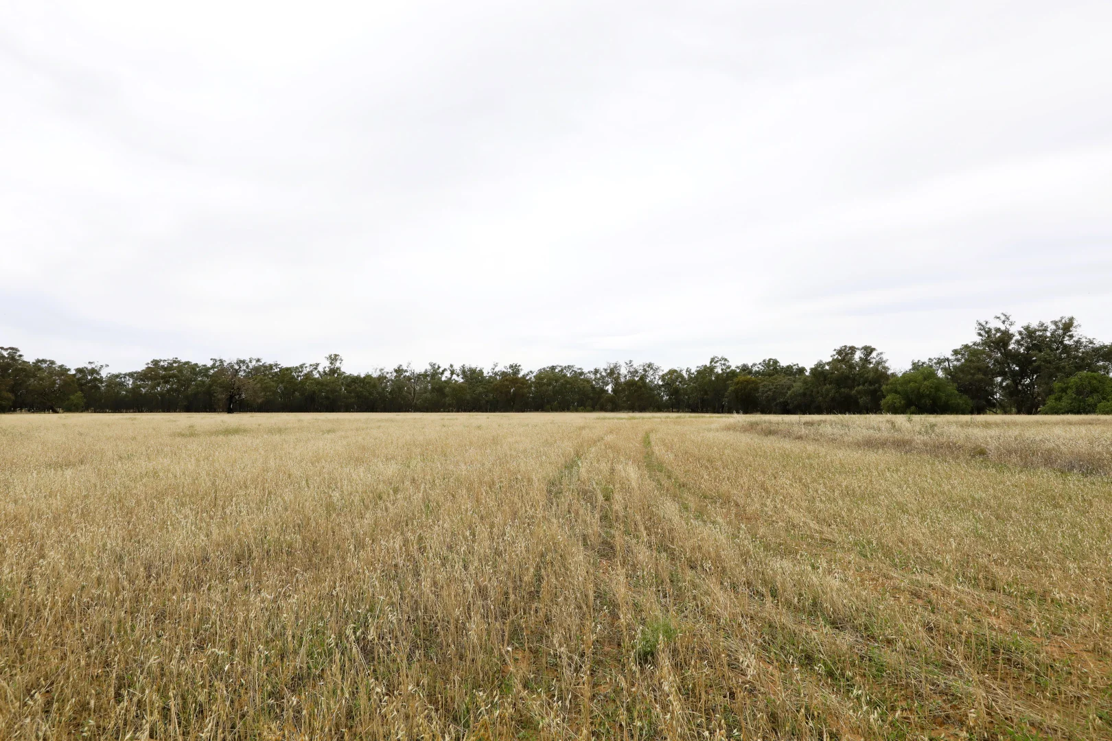 Additional image 7 of 83 Gribben Road, Invergordon VIC 3636