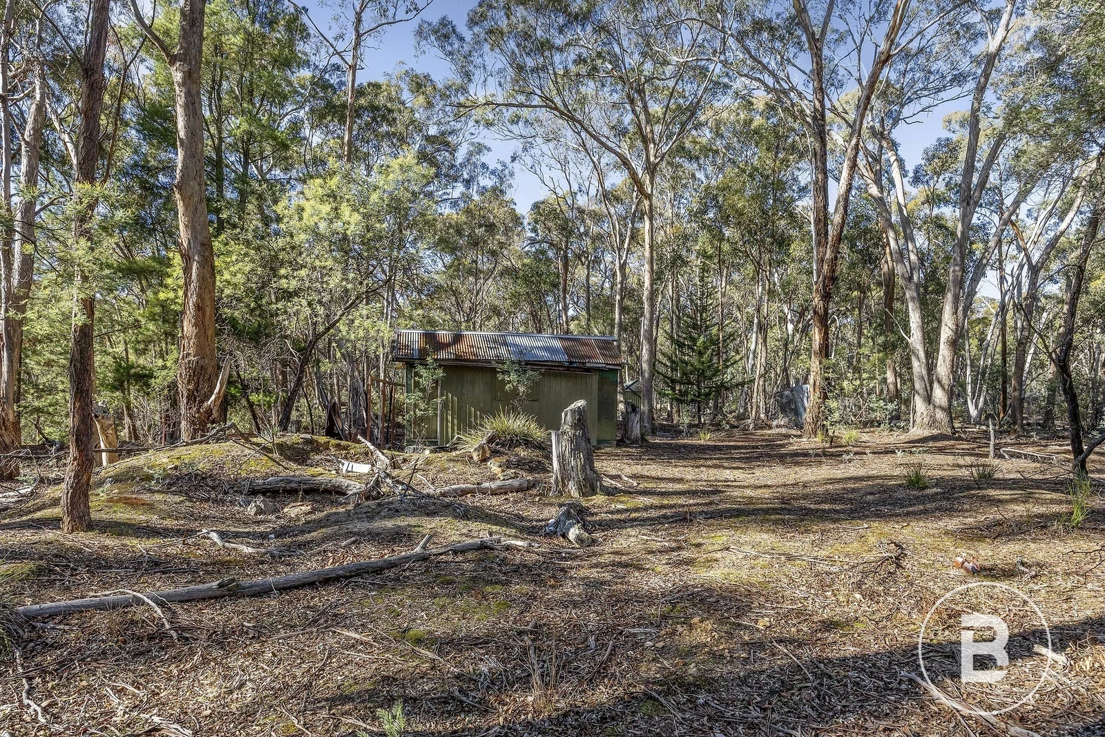 Additional image 4 of 115 Belltopper Road, Drummond North VIC 3446