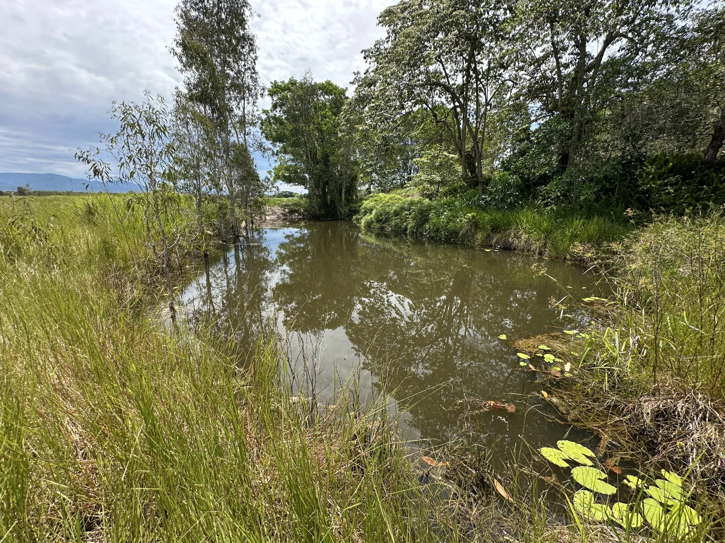 Additional image 25 of 680 Bluff Road, Bilyana QLD 4854