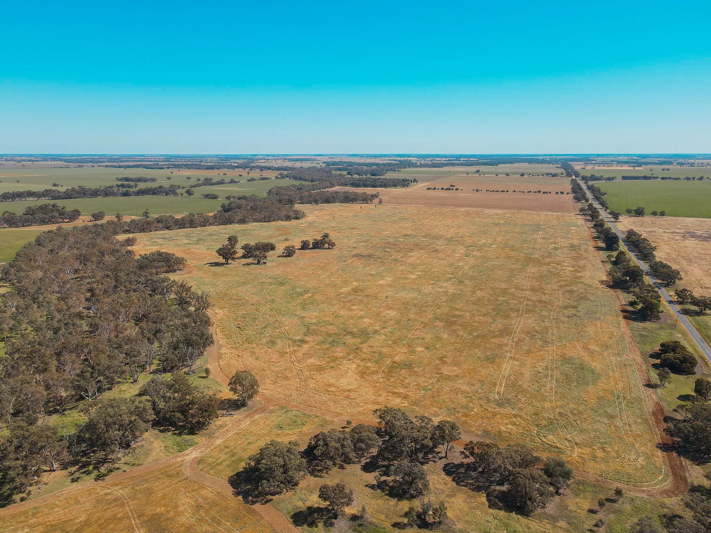 Additional image 13 of Teddywaddy VIC 3527