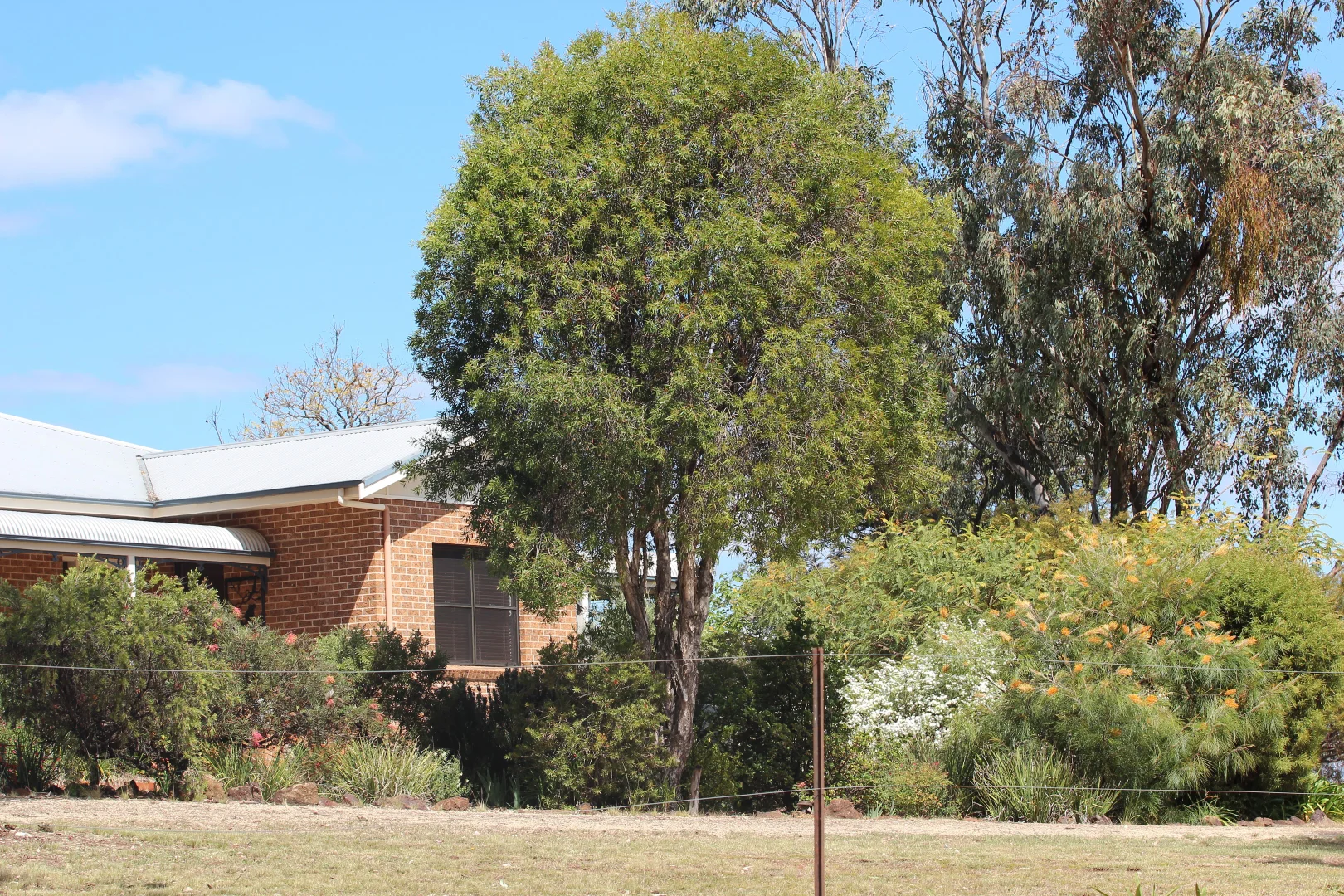 Additional image 29 of 372 Swanbrook Rd, Inverell NSW 2360