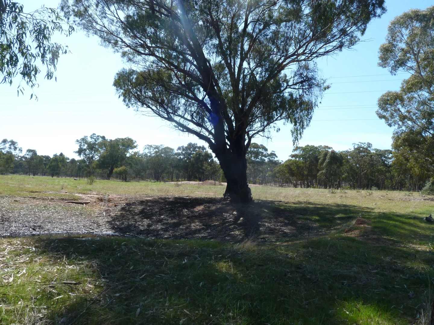 Additional image 2 of CA 8 Bobsiens Hill Road, Wedderburn VIC 3518