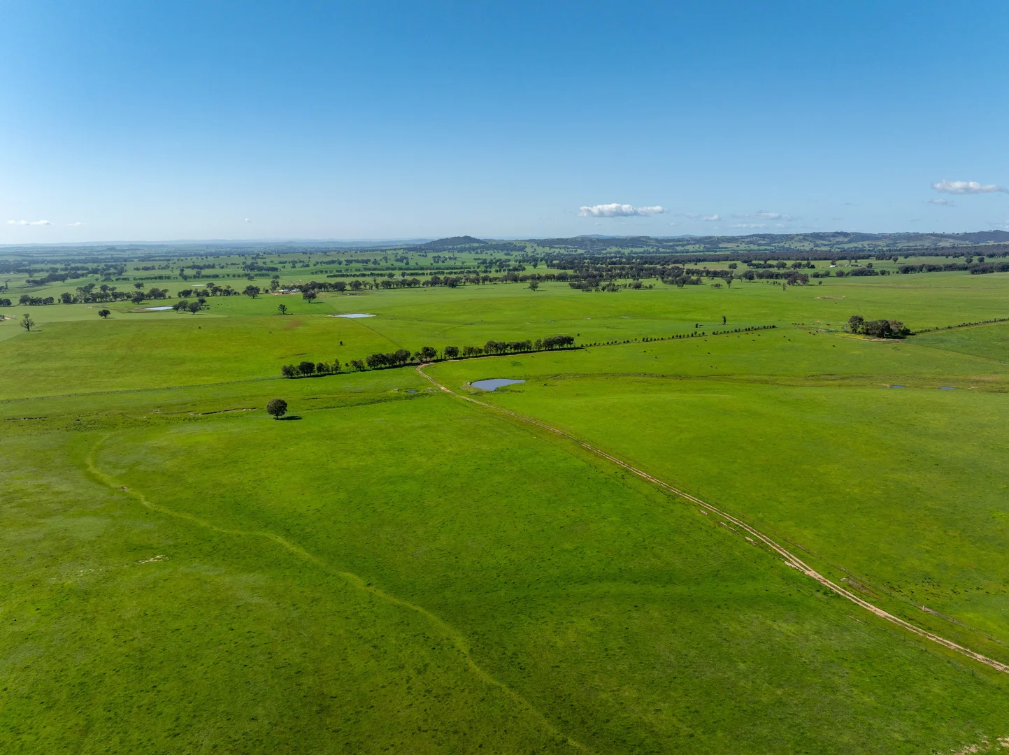 Additional image 3 of 25 Wrigleys Road, Big Springs NSW 2650
