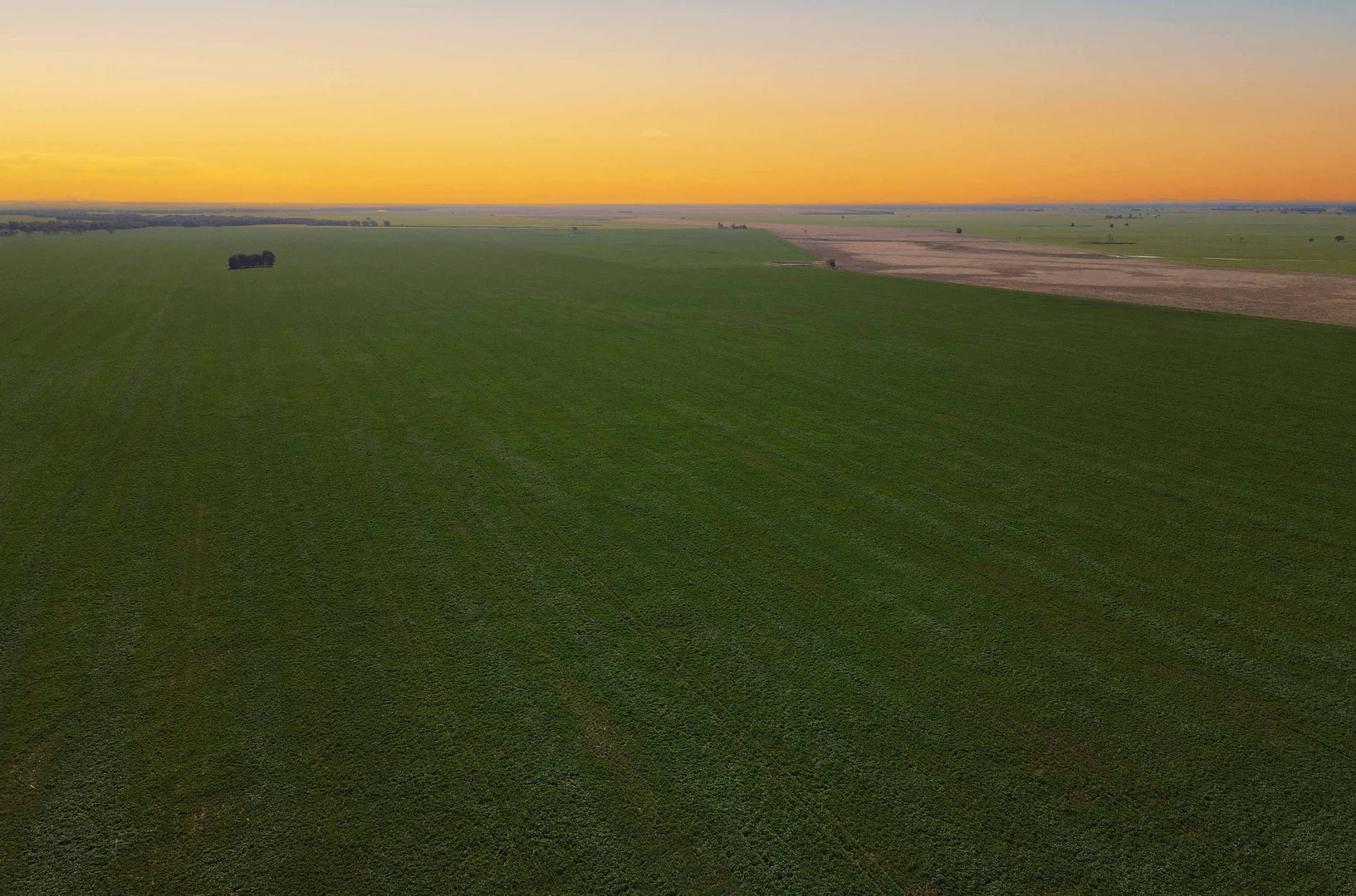 Additional image 3 of 'Williams Crossing' 139 Harris Lane, Quandialla NSW 2721