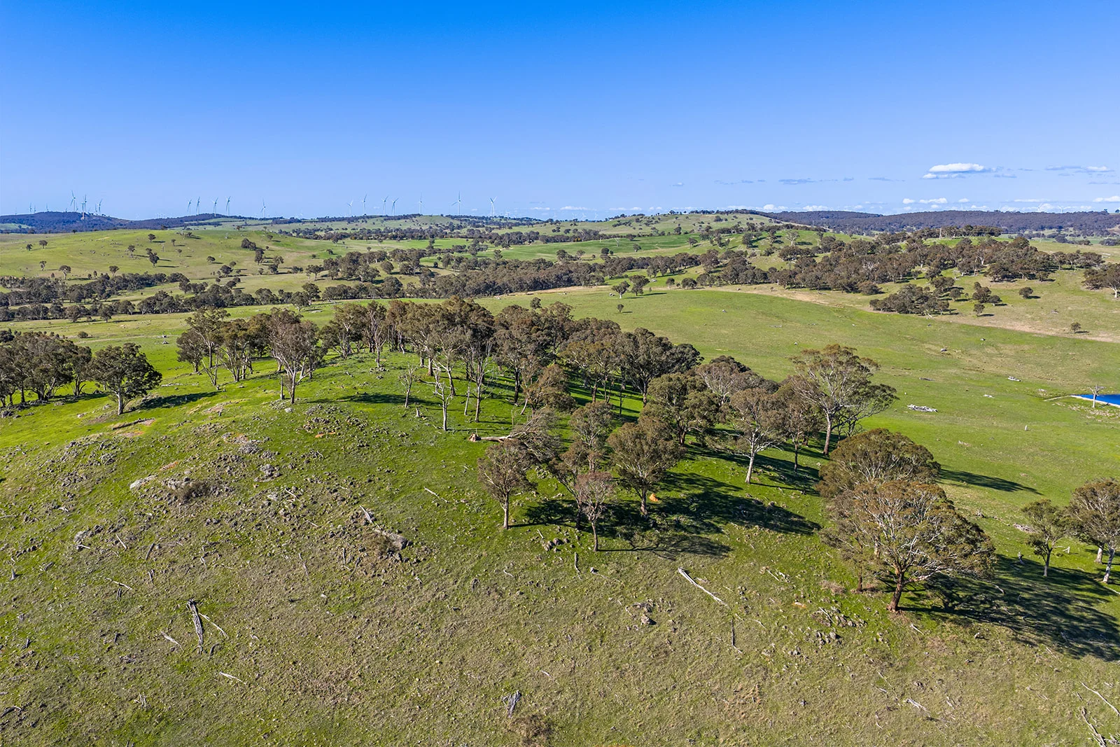 Additional image 13 of 1432 Lachlan Valley Way, Laverstock NSW 2582