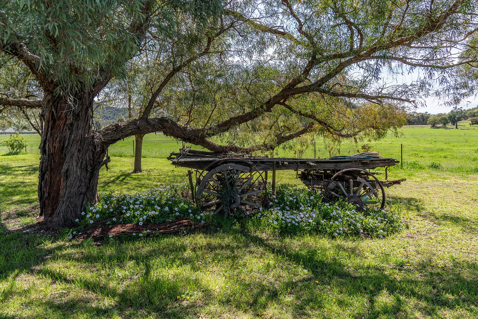 Additional image 19 of 325 Melrose Road, Mudgee NSW 2850