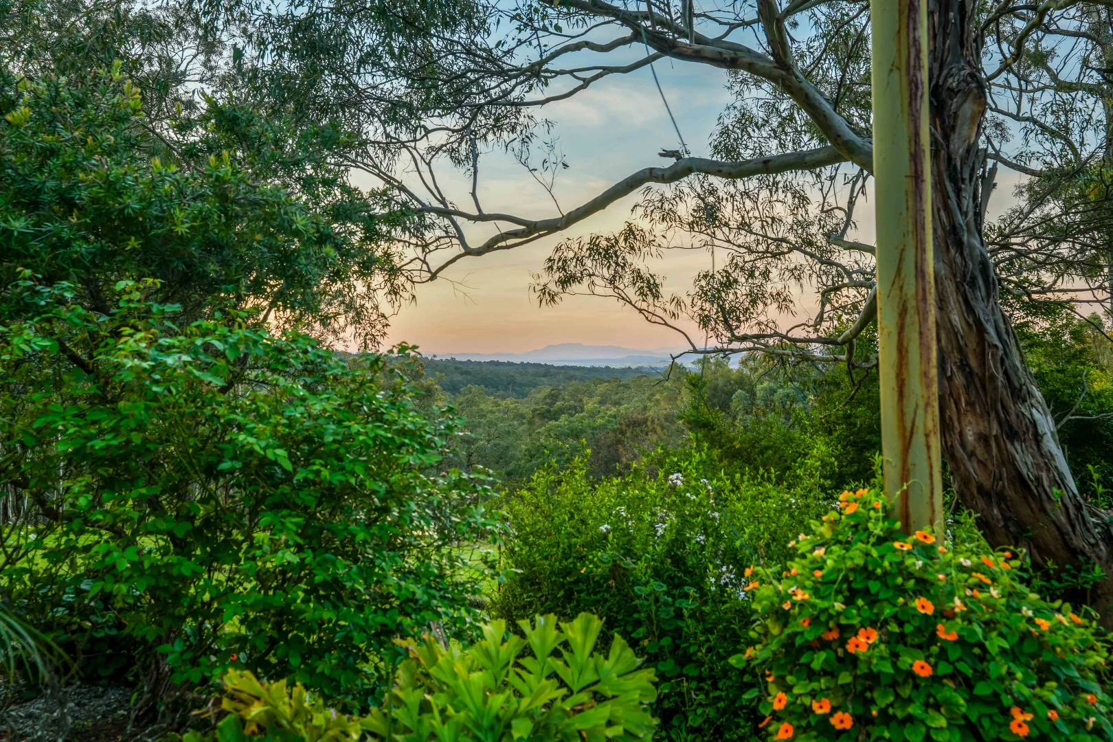 Additional image 2 of 200 Lindsay Road, North Rothbury NSW 2335