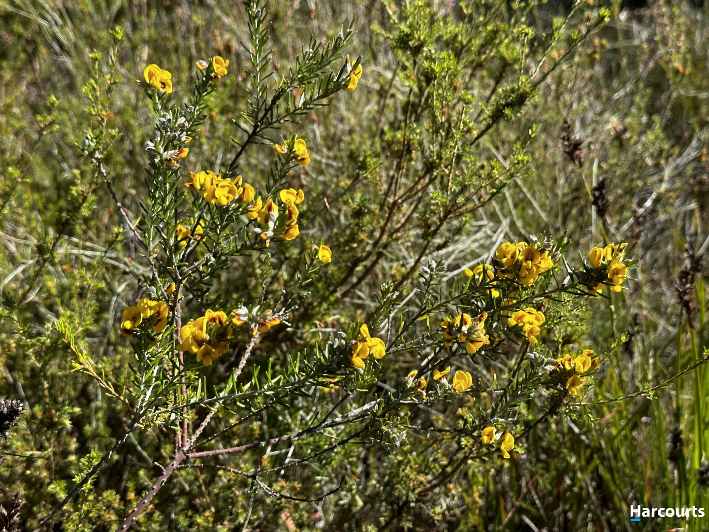 Additional image 13 of 24 Jeanneret Crescent, Binalong Bay TAS 7216