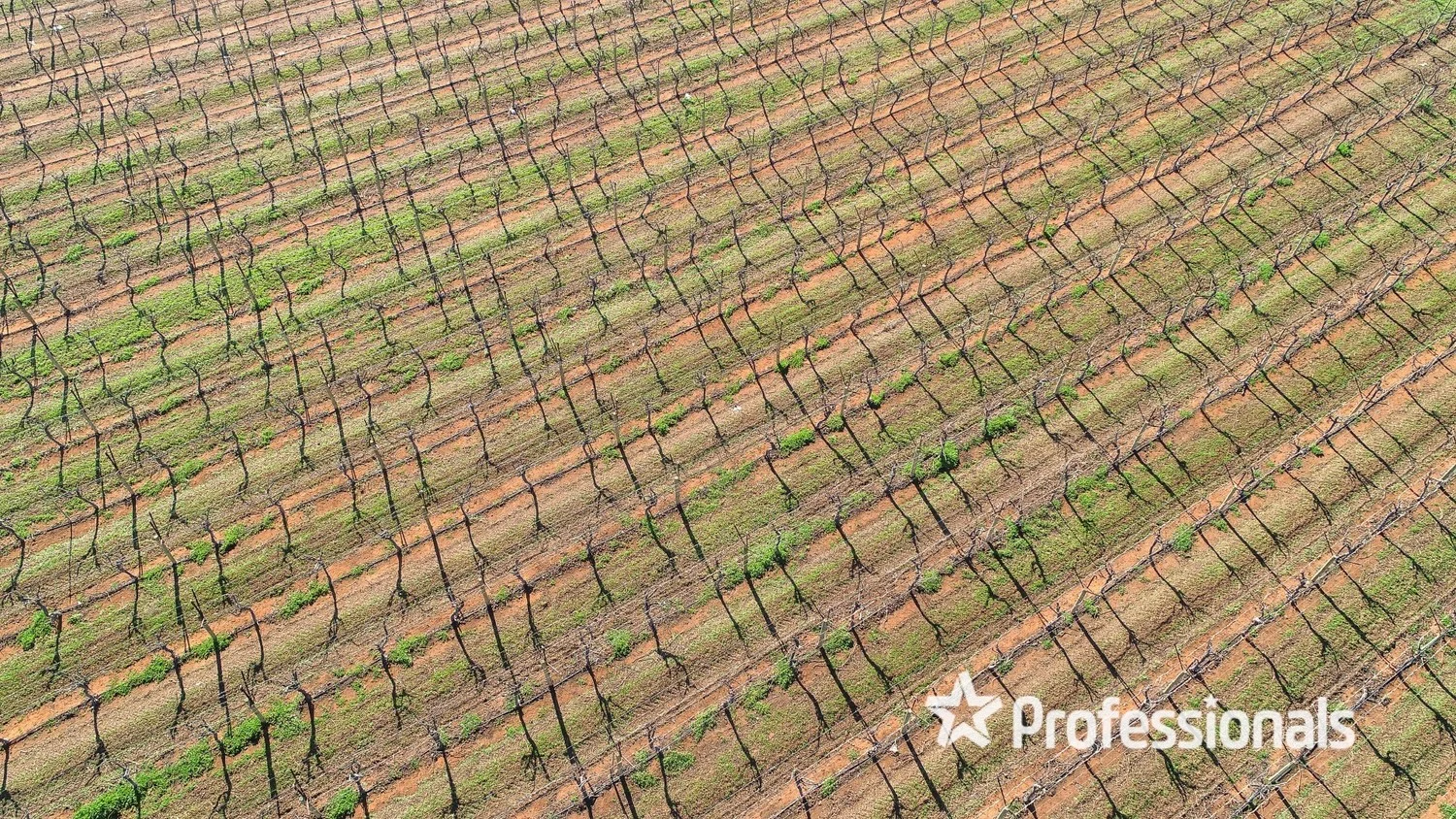 Additional image 16 of 160 Channel Road, Coomealla NSW 2717