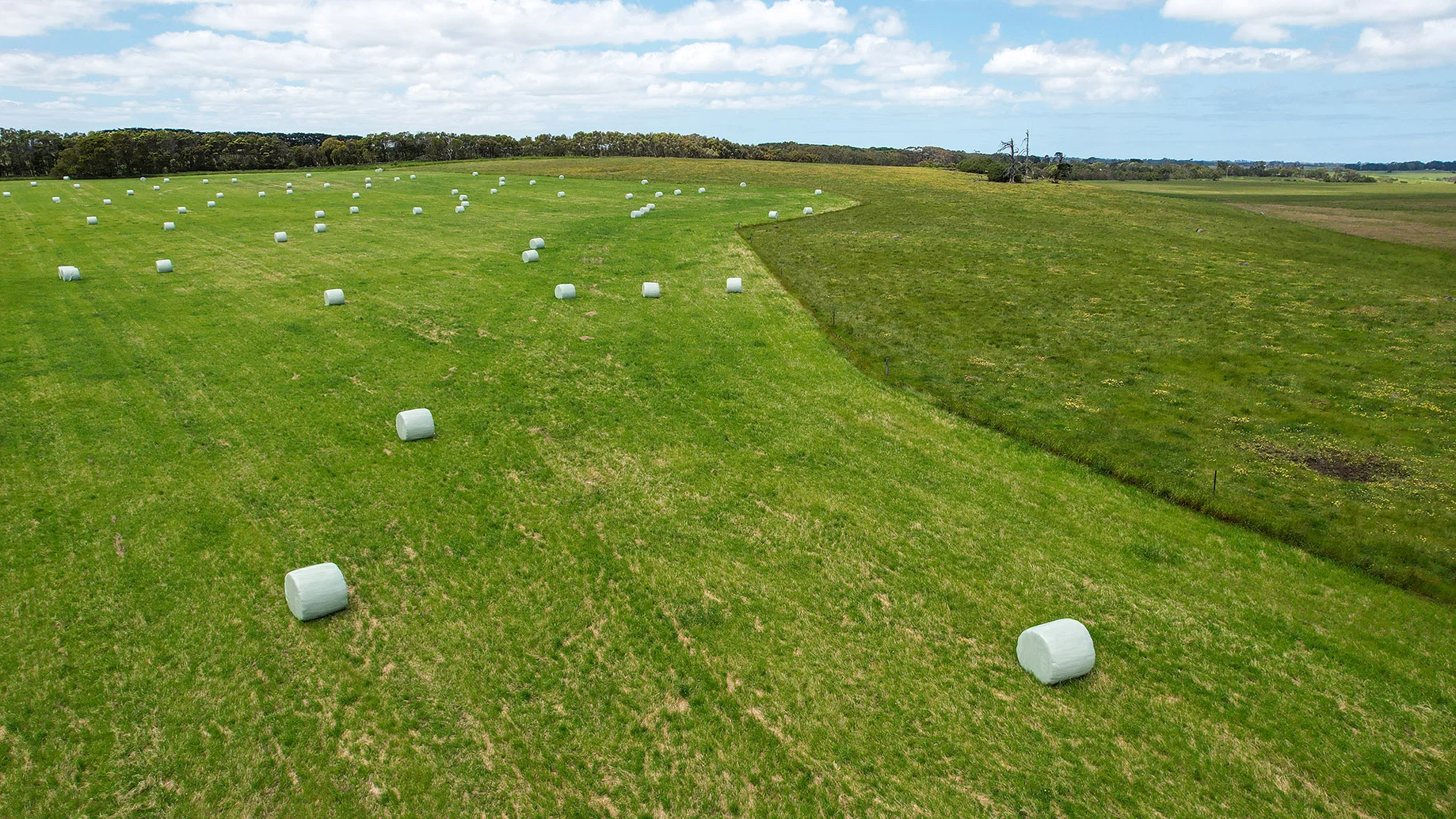 Additional image 7 of 4 Hopkins Falls Road, Wangoom VIC 3279