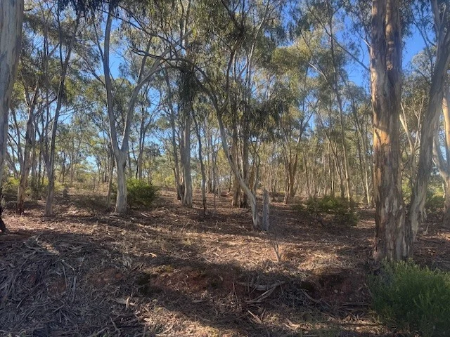 Additional image 11 of 2-20 Godfrey Street, Wedderburn VIC 3518