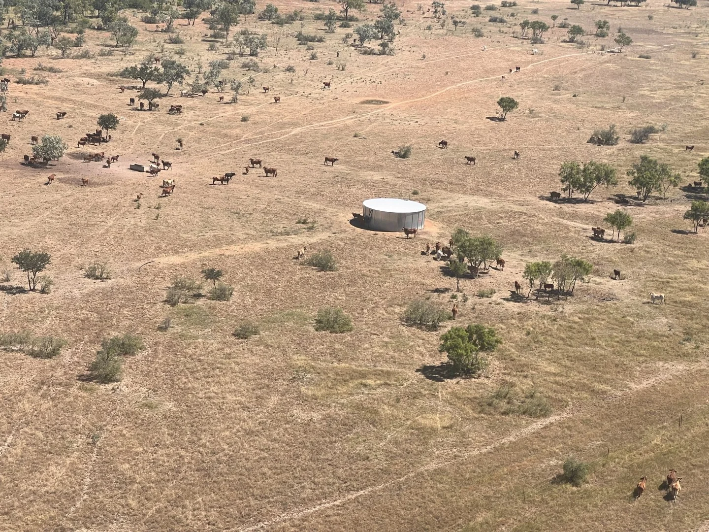 Additional image 7 of Benmara Station, Creswell NT 0852