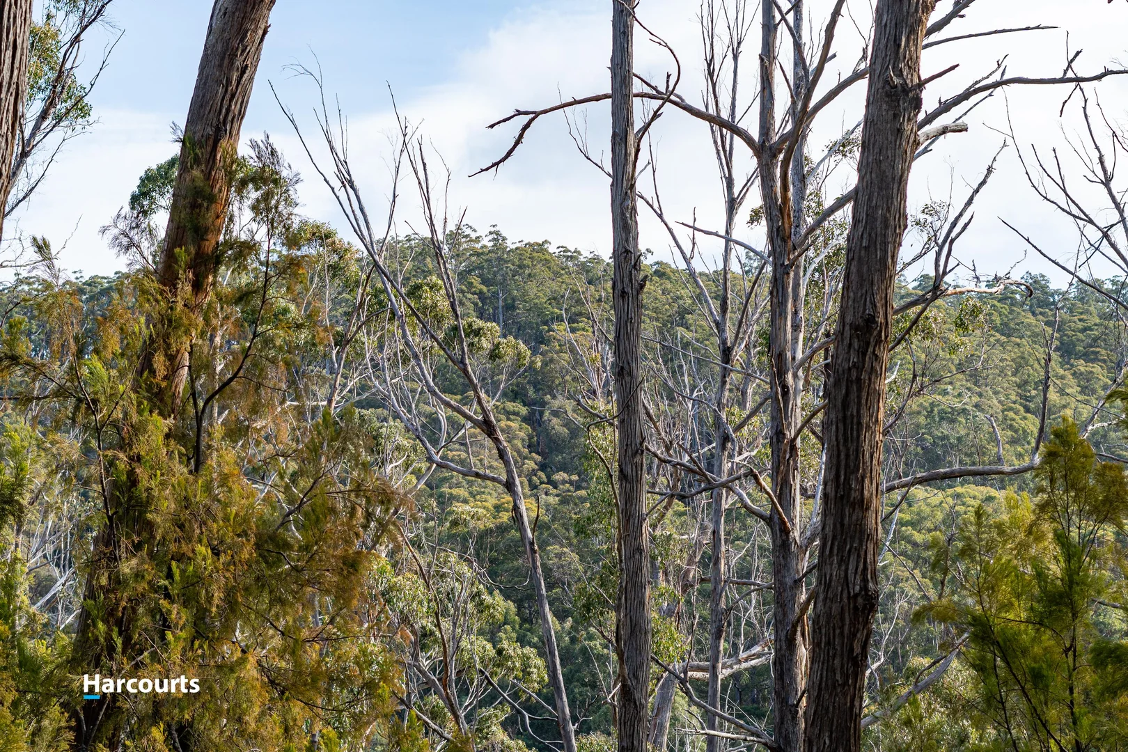Additional image 24 of 44 Klasen Road, Police Point TAS 7116