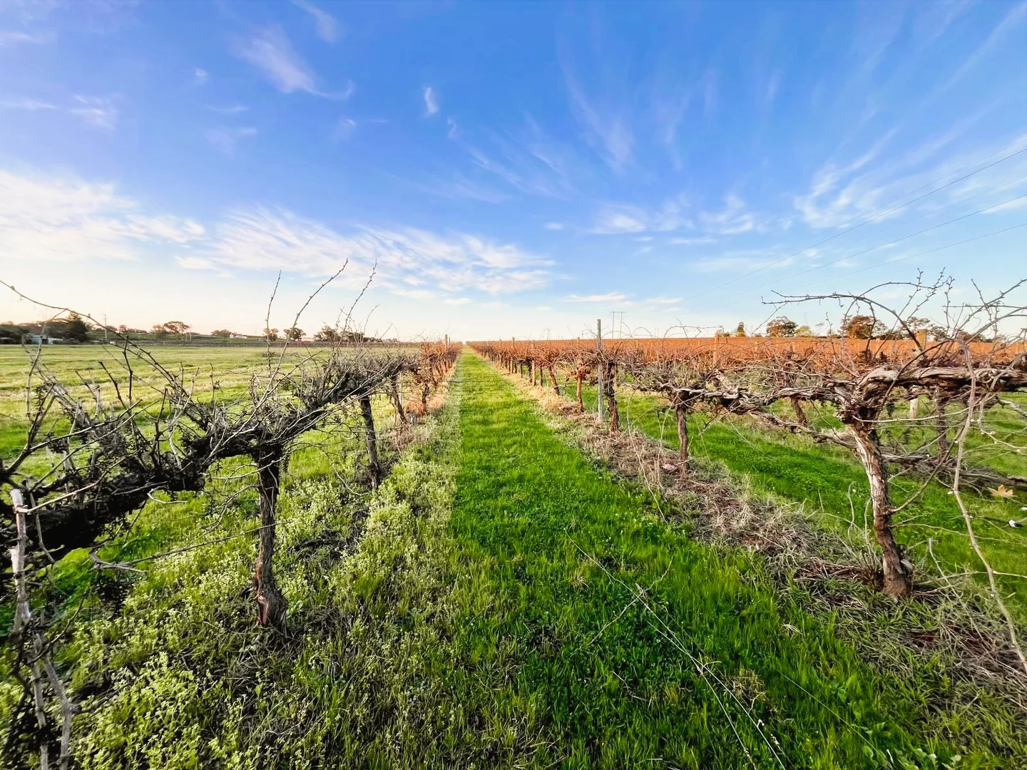 Additional image 3 of 106 Anderson Lane, Cowra NSW 2794