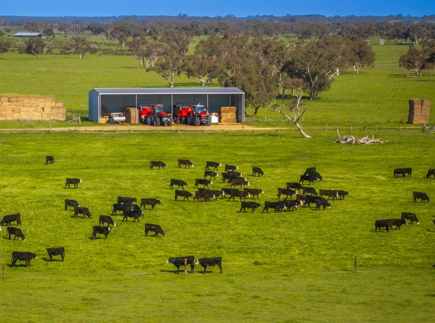 Additional image 10 of 325 Maranoa Downs Road, Stewart Range SA 5271