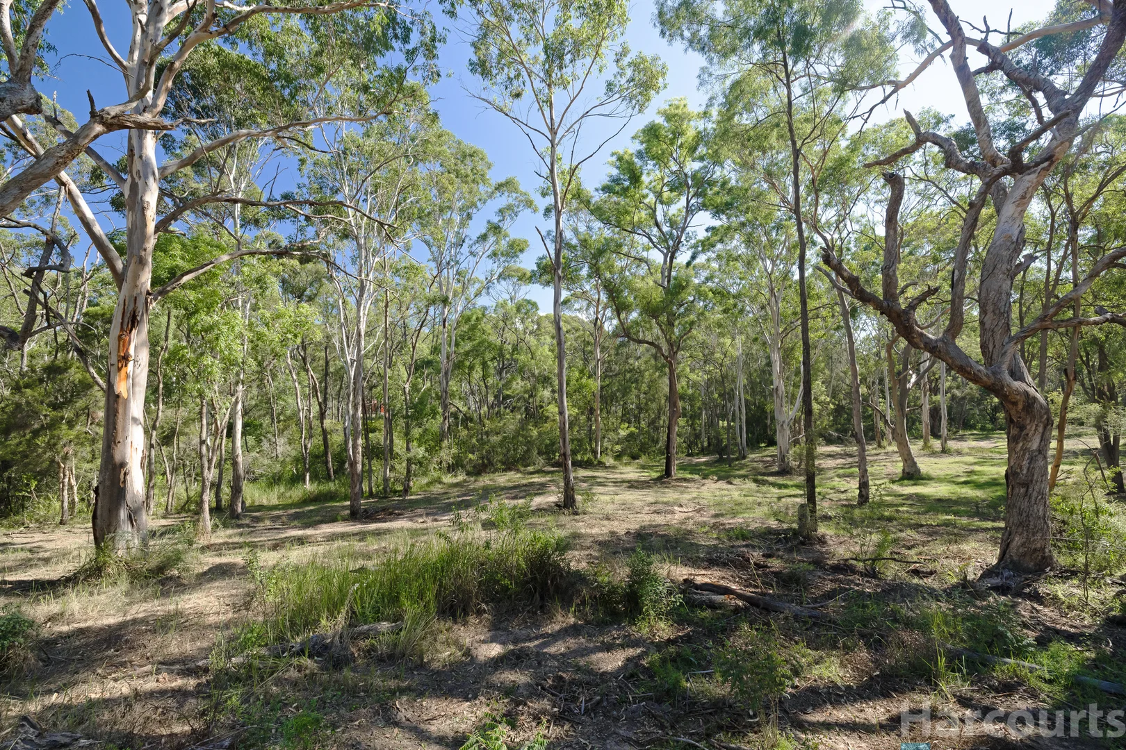 Additional image 10 of 75 Church Street, Abermain NSW 2326