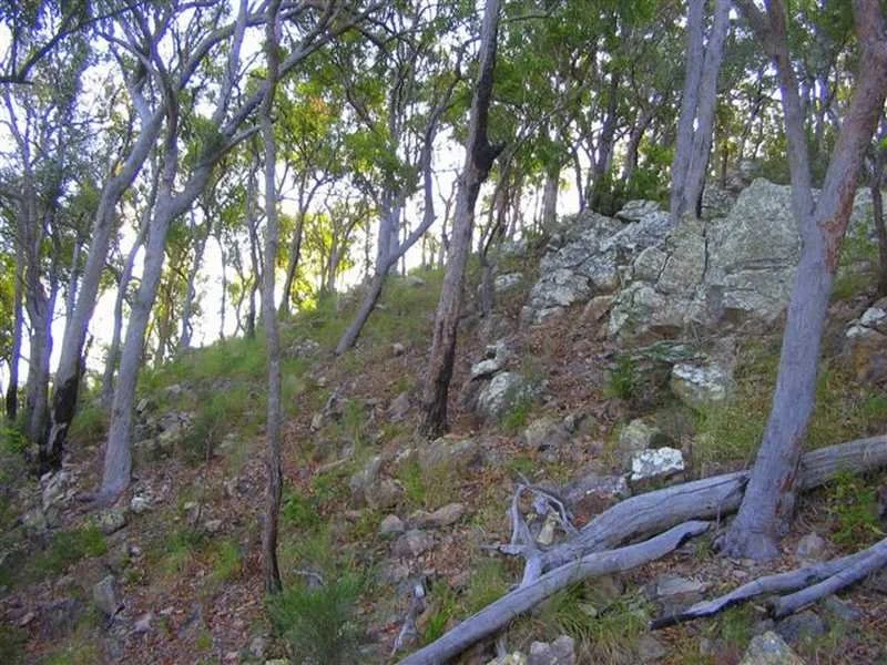 Additional image 12 of Captain Creek QLD 4677