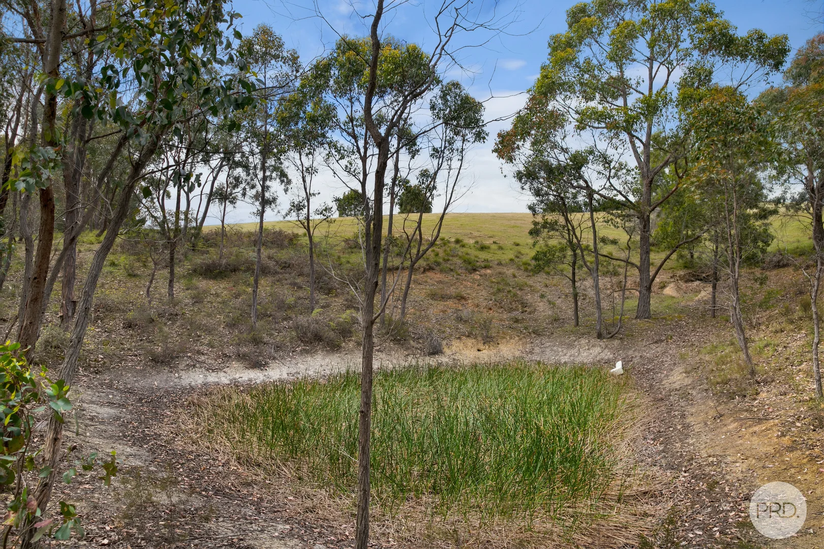 Additional image 8 of Lot 4 Flagstaff Ridge Road, Linton VIC 3360
