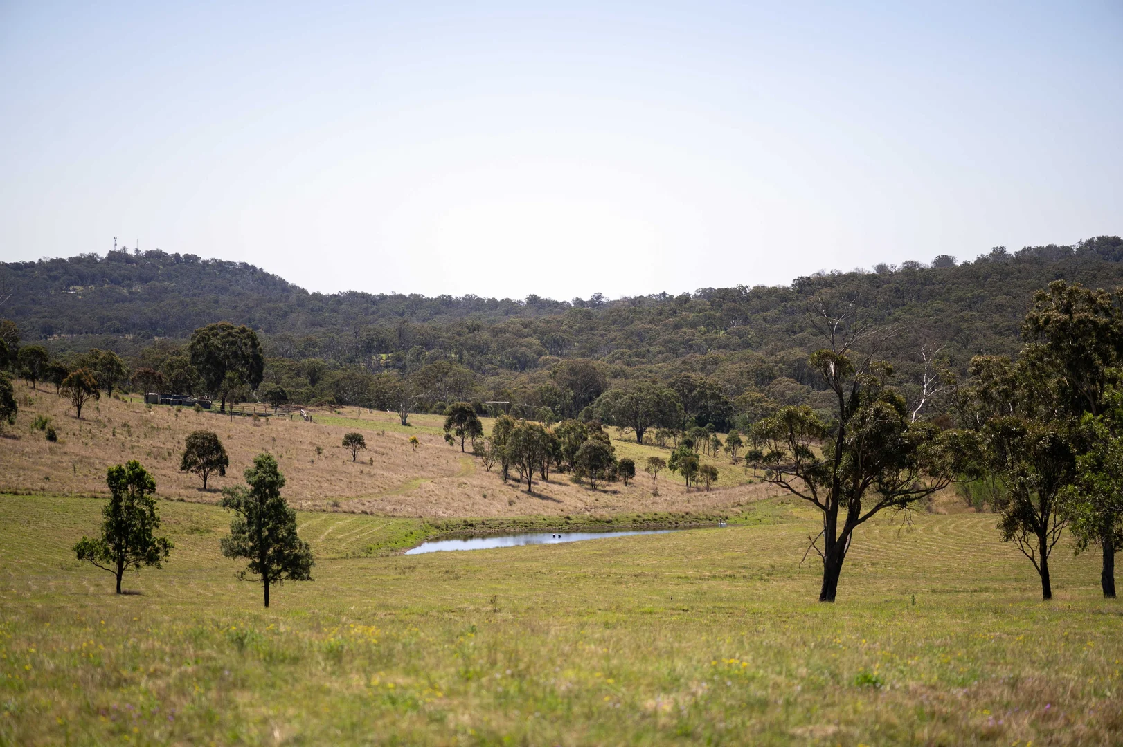 Additional image 8 of 4 Brown Road, Dalveen QLD 4374